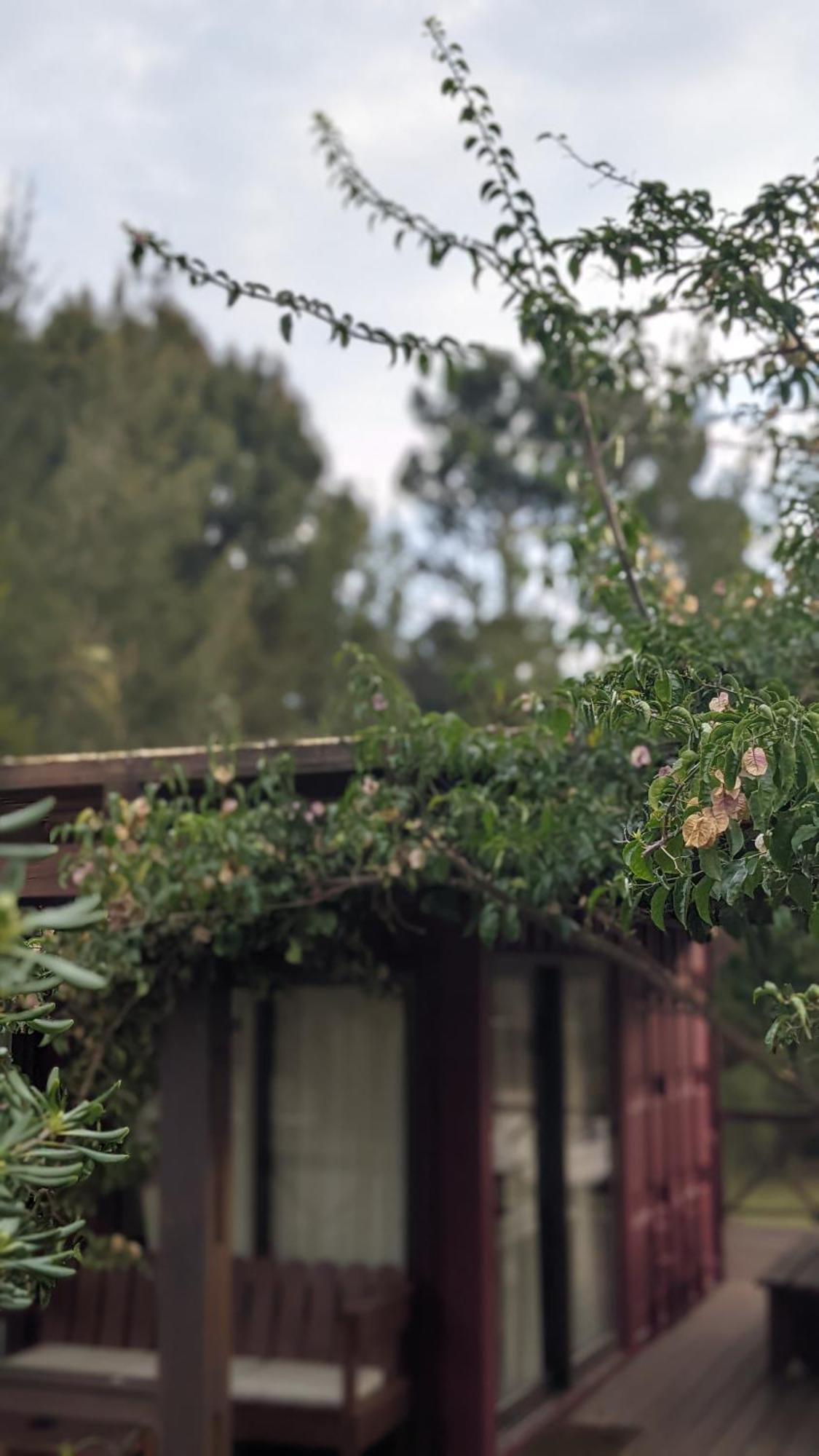 Resort 77 Piriápolis Zewnętrze zdjęcie