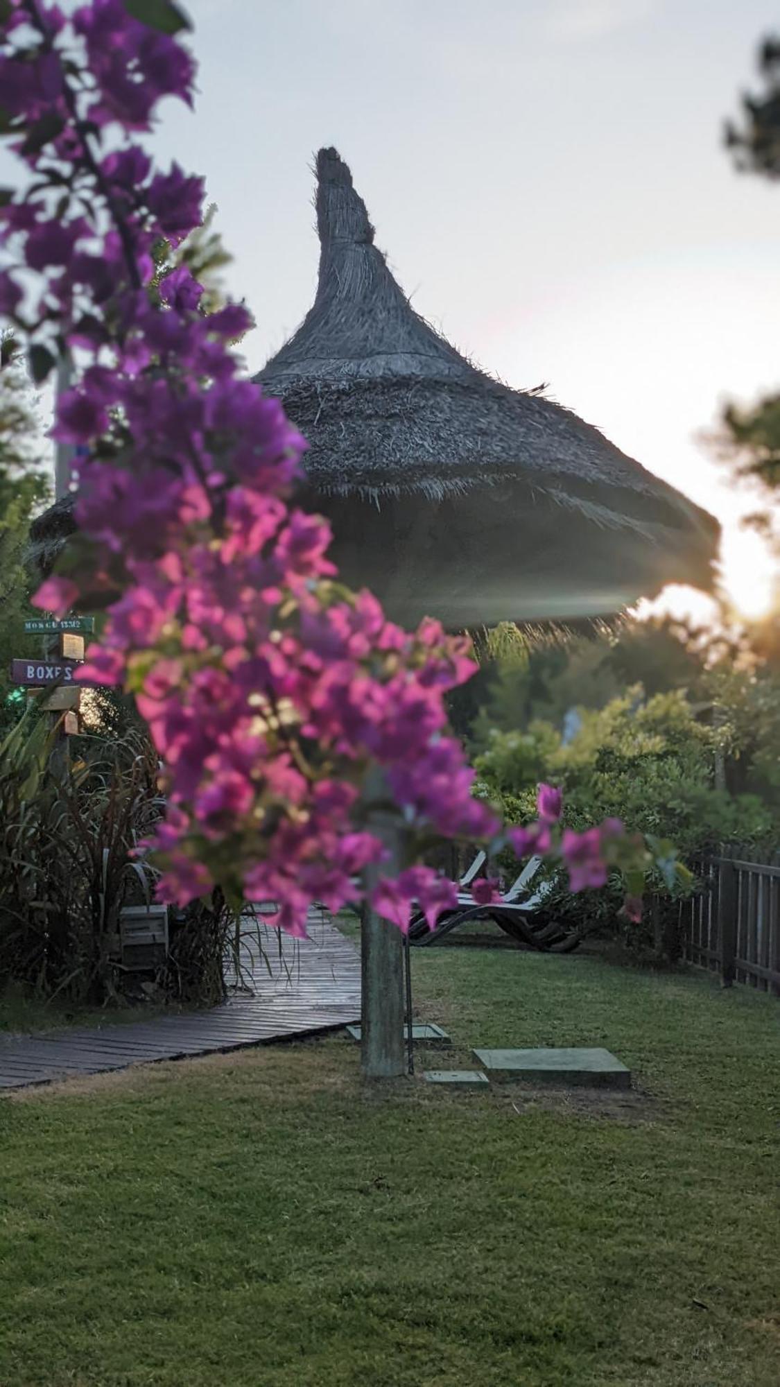 Resort 77 Piriápolis Zewnętrze zdjęcie